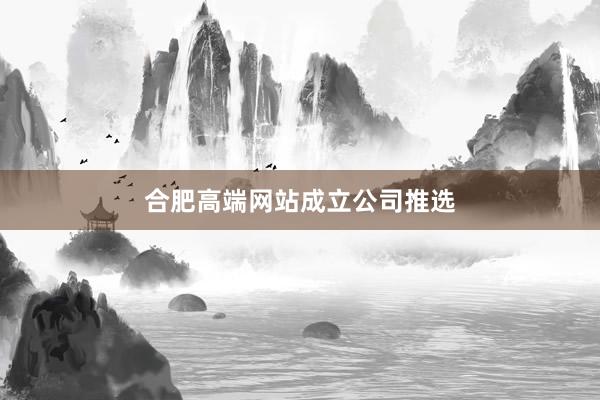 合肥高端网站成立公司推选