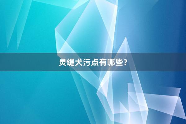 灵缇犬污点有哪些？
