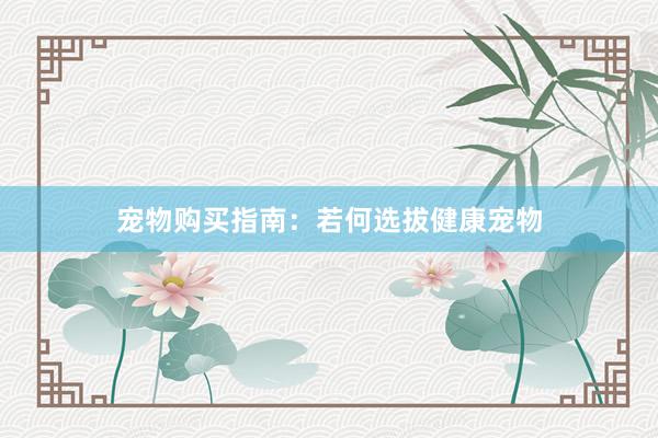 宠物购买指南：若何选拔健康宠物