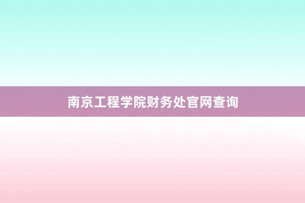 南京工程学院财务处官网查询