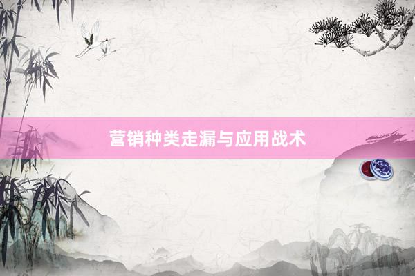 营销种类走漏与应用战术